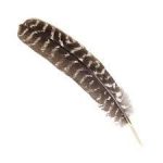 Native American Turkey Feather Fan - Healing Light